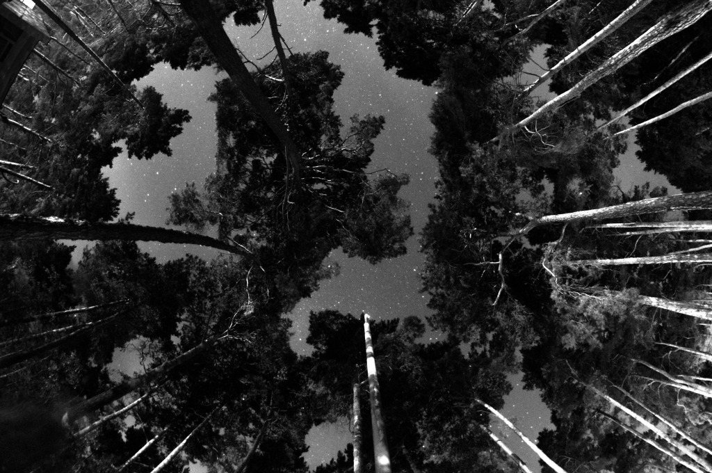 _DSC0178